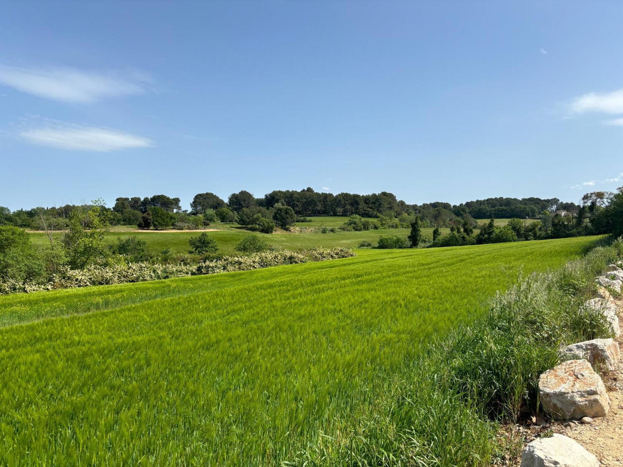 Havre De Paix Au Sein D'Un T3 D'Une Bastide Aixoise آيكس أومبروفينس المظهر الخارجي الصورة